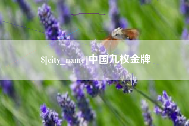 寿光中国九枚金牌