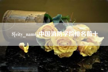 寿光中国消防学院排名前十