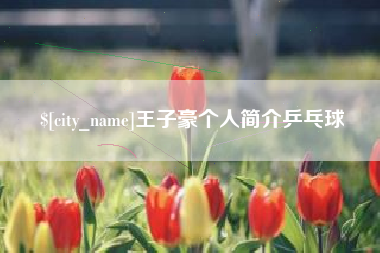 寿光王子豪个人简介乒乓球