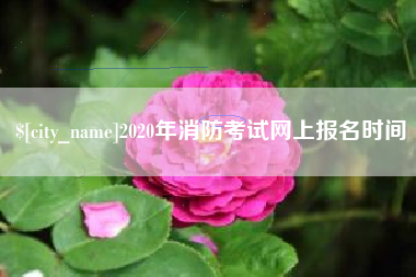 寿光2020年消防考试网上报名时间