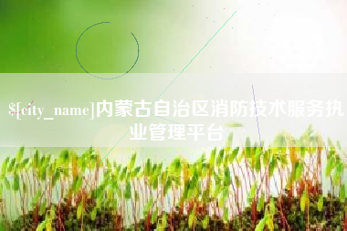 寿光内蒙古自治区消防技术服务执业管理平台