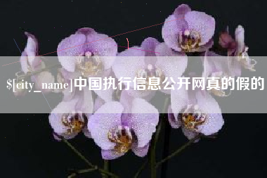 寿光中国执行信息公开网真的假的