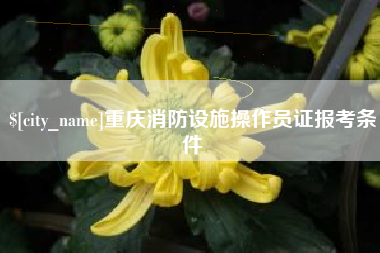 寿光重庆消防设施操作员证报考条件