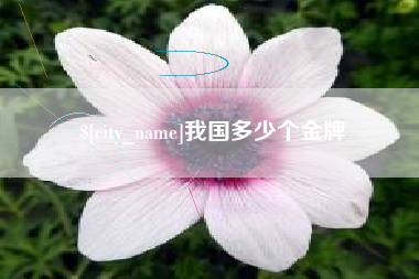 寿光我国多少个金牌