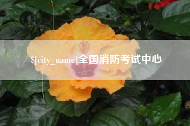 寿光全国消防考试中心