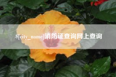 寿光消防证查询网上查询