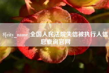 寿光全国人民法院失信被执行人信息查询官网