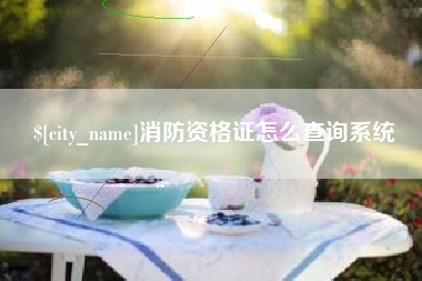 寿光消防资格证怎么查询系统
