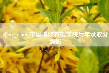 寿光中国消防救援学院历年录取分数线