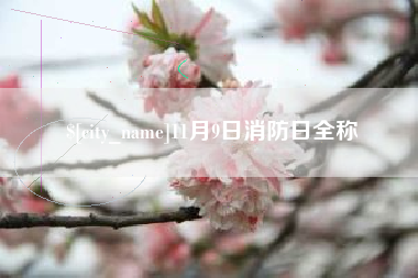 寿光11月9日消防日全称
