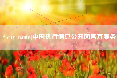 寿光中国执行信息公开网官方服务