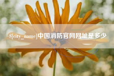寿光中国消防官网网址是多少