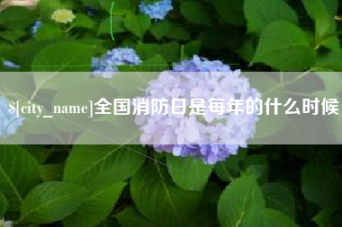 寿光全国消防日是每年的什么时候