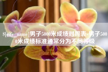 寿光男子5000米成绩对照表-男子5000米成绩标准通常分为不同等级