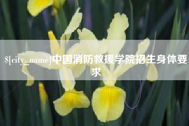 寿光中国消防救援学院招生身体要求