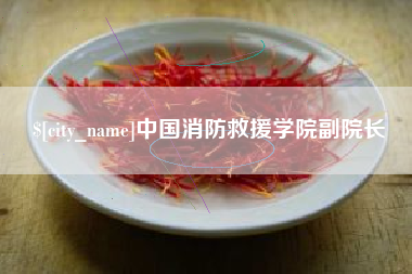 寿光中国消防救援学院副院长