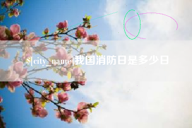 寿光我国消防日是多少日