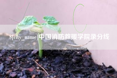 寿光中国消防救援学院录分线