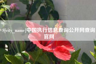 寿光中国执行信息查询公开网查询官网