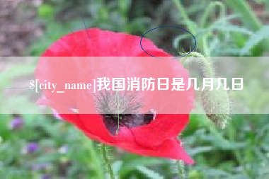 寿光我国消防日是几月几日