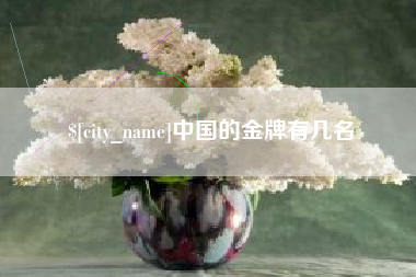 寿光中国的金牌有几名