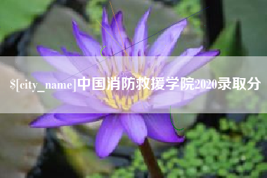 寿光中国消防救援学院2020录取分