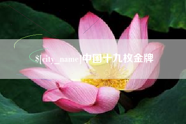 寿光中国十九枚金牌