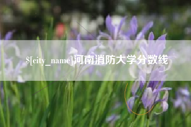 寿光河南消防大学分数线