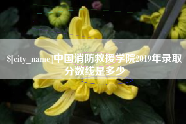 寿光中国消防救援学院2019年录取分数线是多少