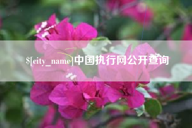 寿光中国执行网公开查询