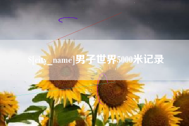 寿光男子世界5000米记录