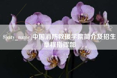 寿光中国消防救援学院简介及招生章程指挥部