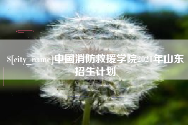 寿光中国消防救援学院2021年山东招生计划