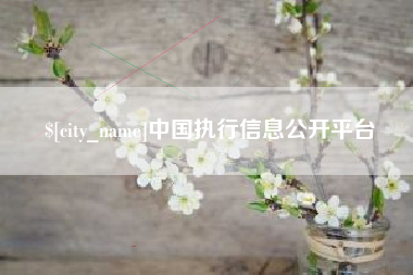 寿光中国执行信息公开平台