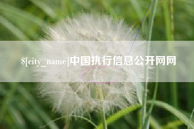 寿光中国执行信息公开网网