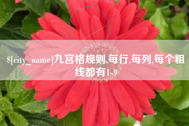 寿光九宫格规则,每行,每列,每个粗线都有1-9
