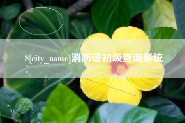 寿光消防证初级查询系统