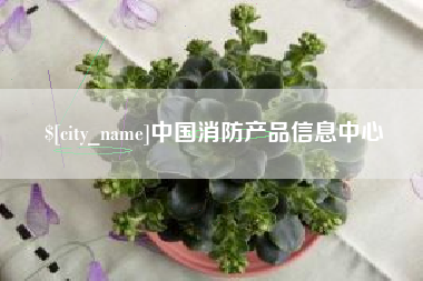 寿光中国消防产品信息中心
