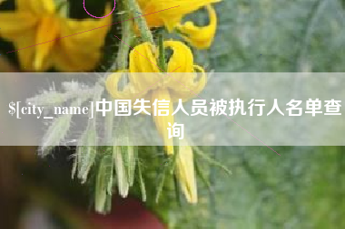 寿光中国失信人员被执行人名单查询