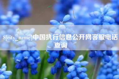 寿光中国执行信息公开网客服电话查询 寿光中国执行信息公开网客服电话查询