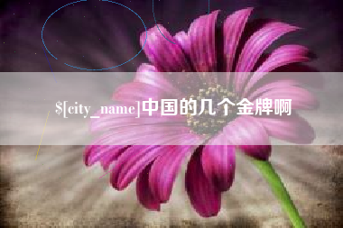 寿光中国的几个金牌啊