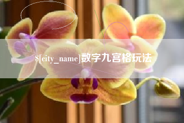 寿光数字九宫格玩法