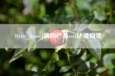 寿光消防产品cccf认证目录