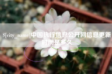 寿光中国执行信息公开网信息更新时间是多久