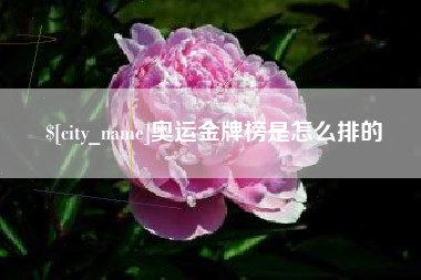 寿光奥运金牌榜是怎么排的