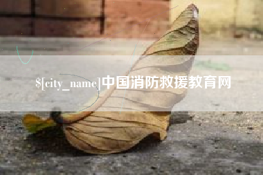寿光中国消防救援教育网