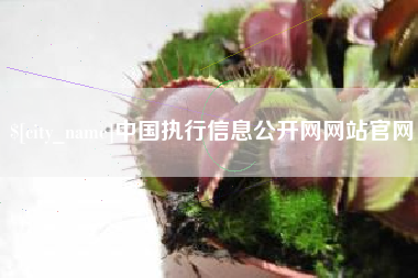 寿光中国执行信息公开网网站官网