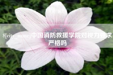 寿光中国消防救援学院对视力要求严格吗