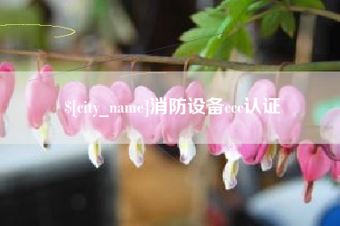 寿光消防设备ccc认证