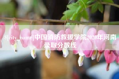 寿光中国消防救援学院2020年河南录取分数线